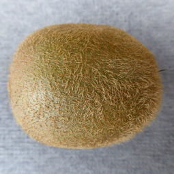 环保卫生纸品牌排行，绿色生活之选