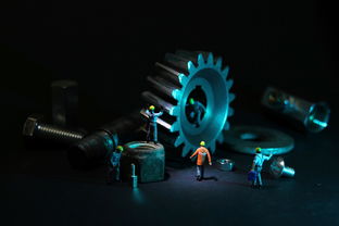 荷兰品牌玩具，品质、创新与童趣的完美结合