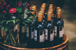陕西白酒酱酒品牌，历史传承与现代风采的完美结合