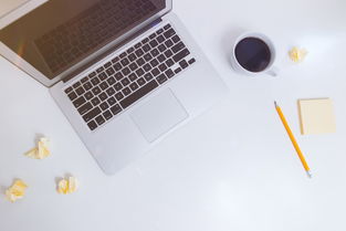 选择瓷砖品牌，实用指南与案例分析