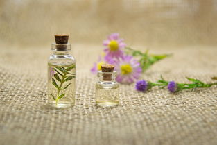 沐浴露品牌特香，深度解读与案例分析