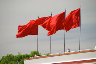中国红色运动童装品牌，传承与创新的融合