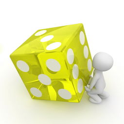孕早期适合的坚果品牌介绍与选择指南