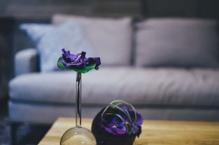 揭秘花瓣形状沙发，打造家居温馨角落的秘密武器