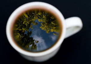 怎茶叶品牌，从茶园到茶杯的匠心之旅