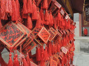 唐人街中餐厅品牌介绍