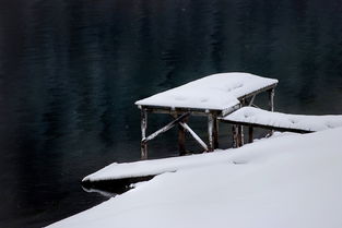 智能除雪机器人品牌，冬日里的雪中送炭神器