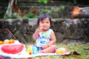 婴幼儿玩具十大品牌解析，品质与乐趣的完美结合