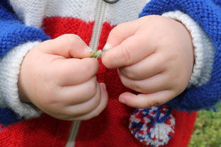 盘点那些深受小孩喜爱的通用牙刷品牌，呵护宝宝口腔健康！
