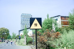 打造户外空间的时尚标志—品牌室外吊顶