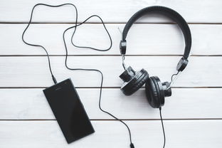 开启您的音频创业之旅，加入一个成功的手机音响品牌