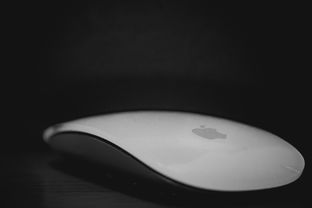 盘点那些让你鼠标操作如虎添翼的回放器品牌—鼠标回放器推荐品牌大揭秘