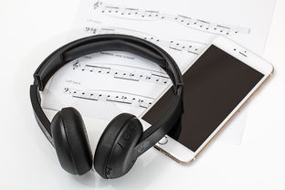 顶级音质的蓝牙耳机品牌深度解析