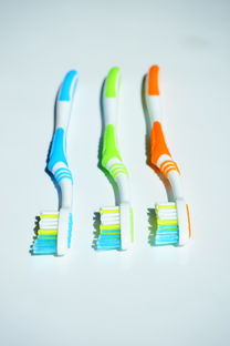 打造口腔健康新伙伴—揭秘多功能家庭牙刷品牌