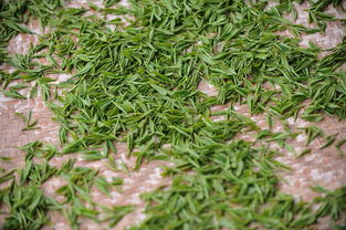 大众绿茶叶都有哪些品牌？一文带你了解绿茶市场