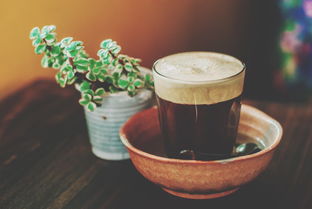 陈皮茶茶叶品牌的打造策略