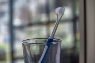揭秘女式牙刷正品品牌，让你轻松拥有健康口腔！