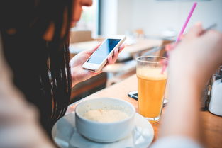 哈尔滨茶叶品牌加盟电话全解析