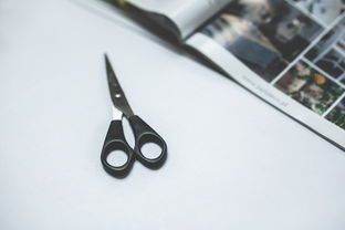 揭秘精英办公专用鼠标品牌—高效办公的得力助手
