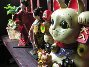 电子玩具开箱，体验日本品牌的魅力