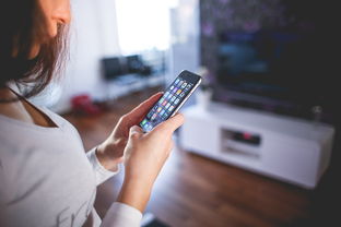 探索女性内衣世界,女款品牌精选与实用指南