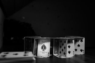 揭秘铲子市场霸主，第一品牌背后的故事