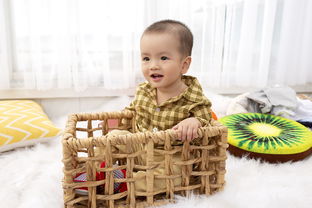 婴幼儿电子玩具品牌，创新、安全、乐趣的完美结合