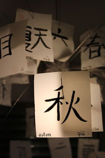 揭秘内蒙书法品牌魅力，这份书法品牌排行榜告诉你谁才是内蒙书法界的佼佼者！