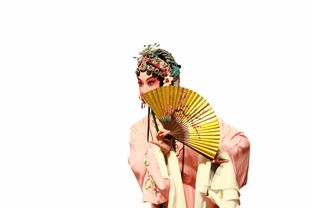 女士旗袍品牌—传统与现代的完美融合