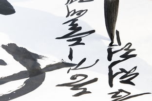 加盟书法品牌，开启你的艺术创业之旅