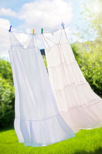 夏日汉服风潮，传统与现代的完美融合
