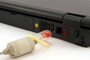 整车水分测量仪品牌哪家强？实测数据告诉你答案