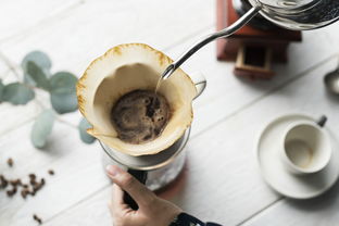 盘点2023年最受欢迎的水杯品牌前10，你的水杯上榜了吗？