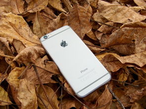 iPhone手机品牌日全攻略