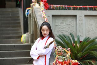 汉服无品牌，文化传承的新篇章