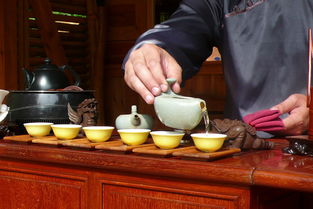 安徽毛尖茶叶品牌代理，走进品质茶饮的世界