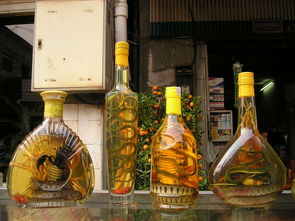 中国中等白酒品牌，品质与市场的平衡力量