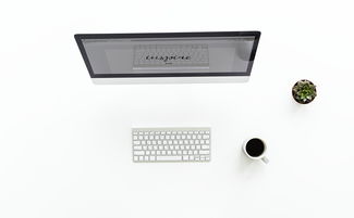 揭秘日本制造空气净化器品牌，品质与技术的完美结合