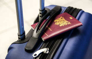 揭秘航空便携牙刷品牌，小巧实用，旅行必备！