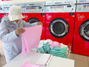 河北全自动卫浴品牌排行