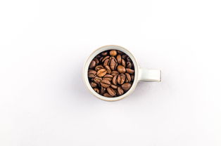 有关奶茶的品牌有哪些？一文带你了解