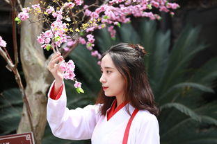 中国十大汉服品牌盘点