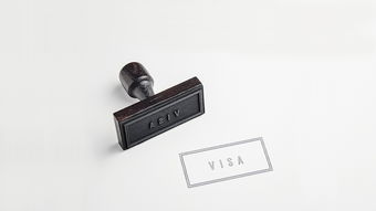 品牌网络地板吸盘价格分析与案例解析
