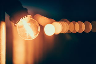 沈阳LED灯具市场概览