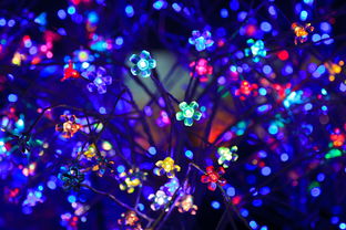 沈阳LED灯具市场概览