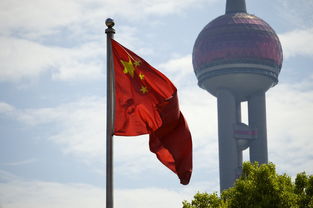 白酒中国，众多品牌的璀璨世界
