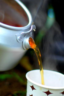揭秘绿茶水杯品牌，品味生活，从一杯绿茶开始