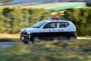 日本三万的儿童车品牌深度解析，品质、创新与选择