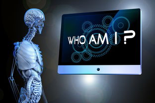 最好的男士游戏机品牌，深度解析与实例探究